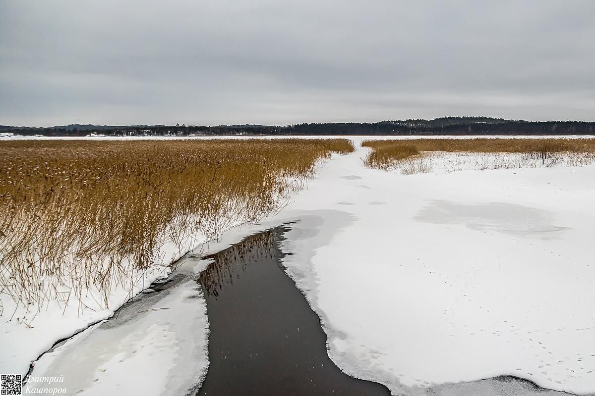 Времена года. Зимняя Карелия с фотографом