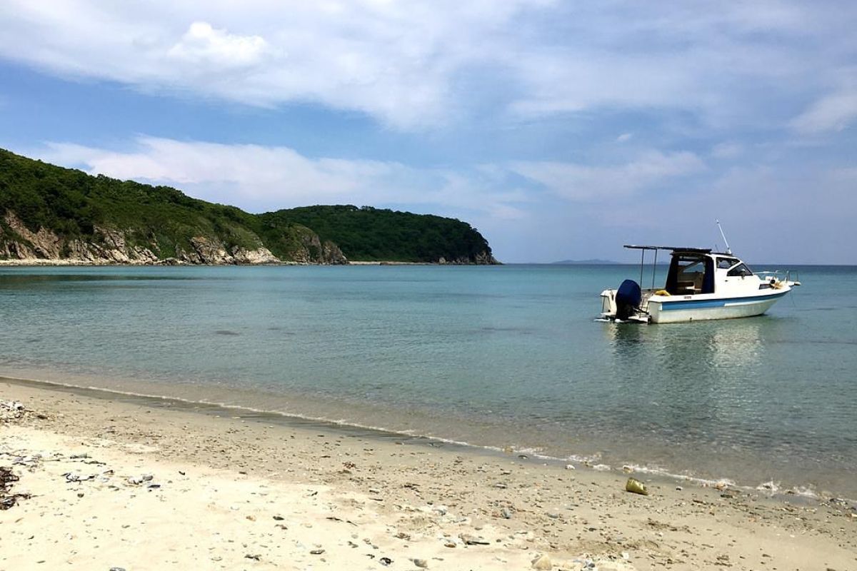 Дикая природа Приморья