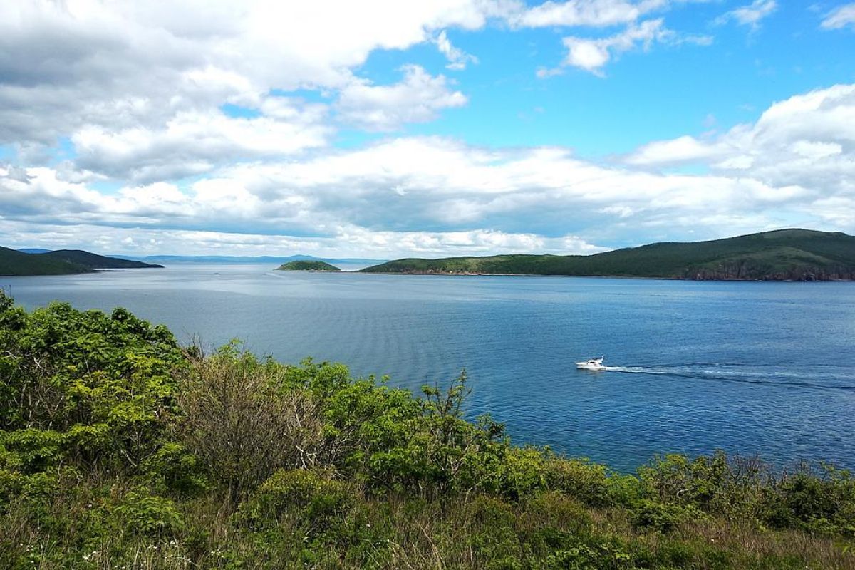 Дикая природа Приморья