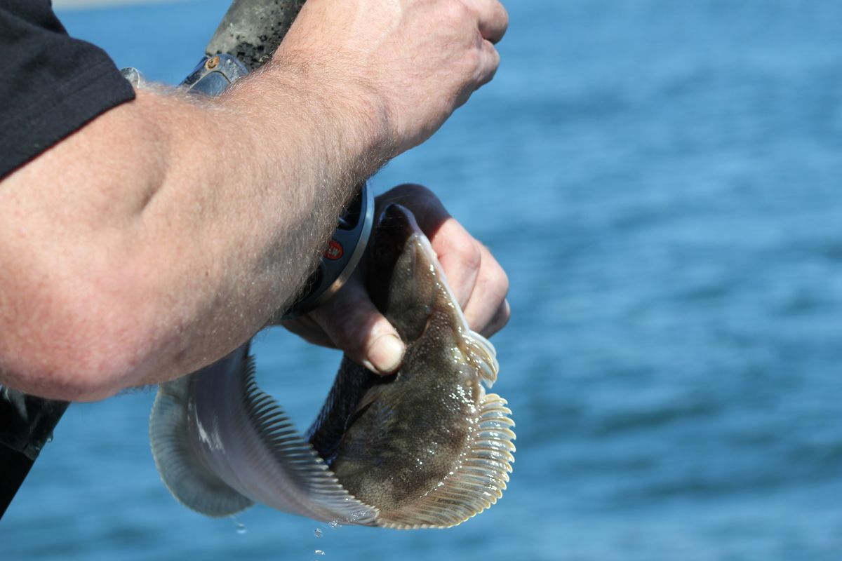 Камчатка. Главное путешествие в жизни 2026