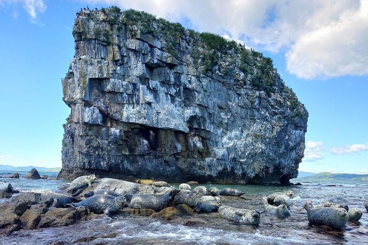 Земля леопарда + Японское море