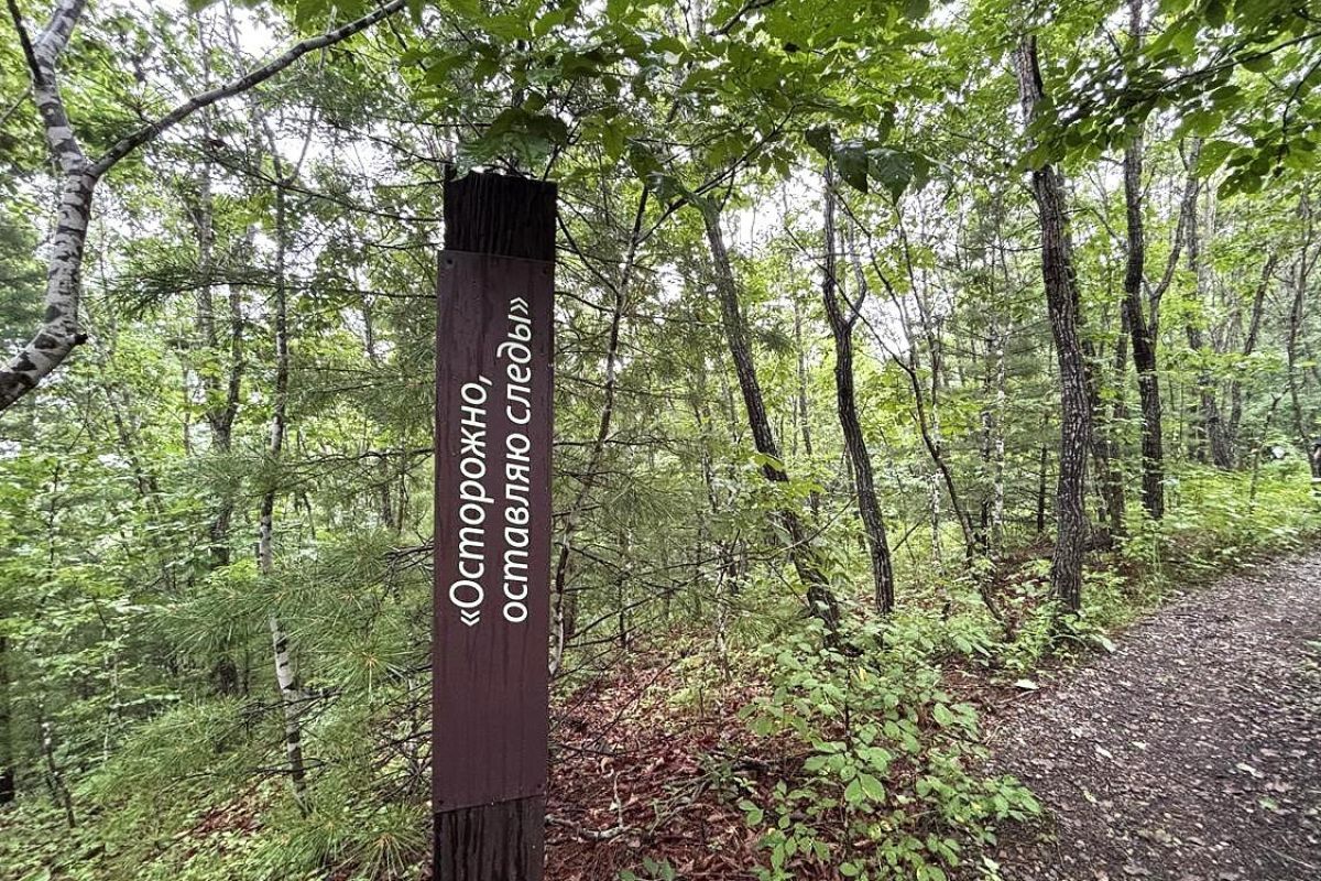 Земля леопарда + Японское море