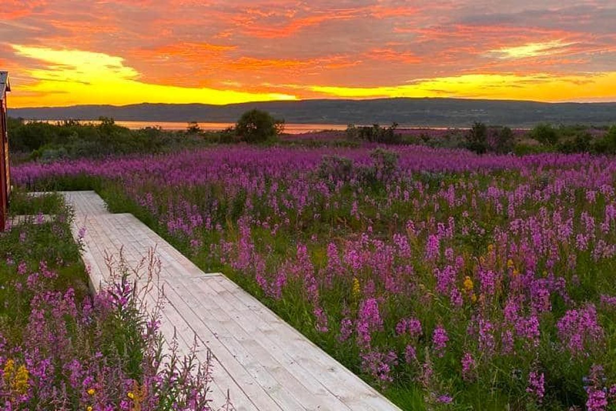 Арктикаэкспресс