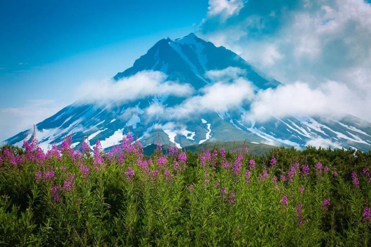 Дачные источники и водопад Снежный барс (Камчатка, экскурсия)