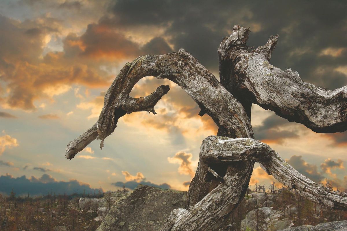 Вся Карелия на джипах