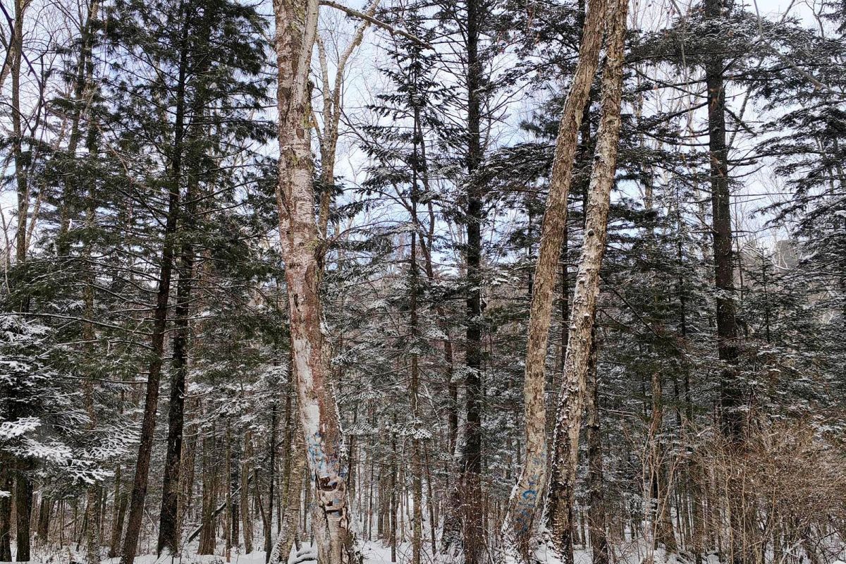 Водопад Горбатый
