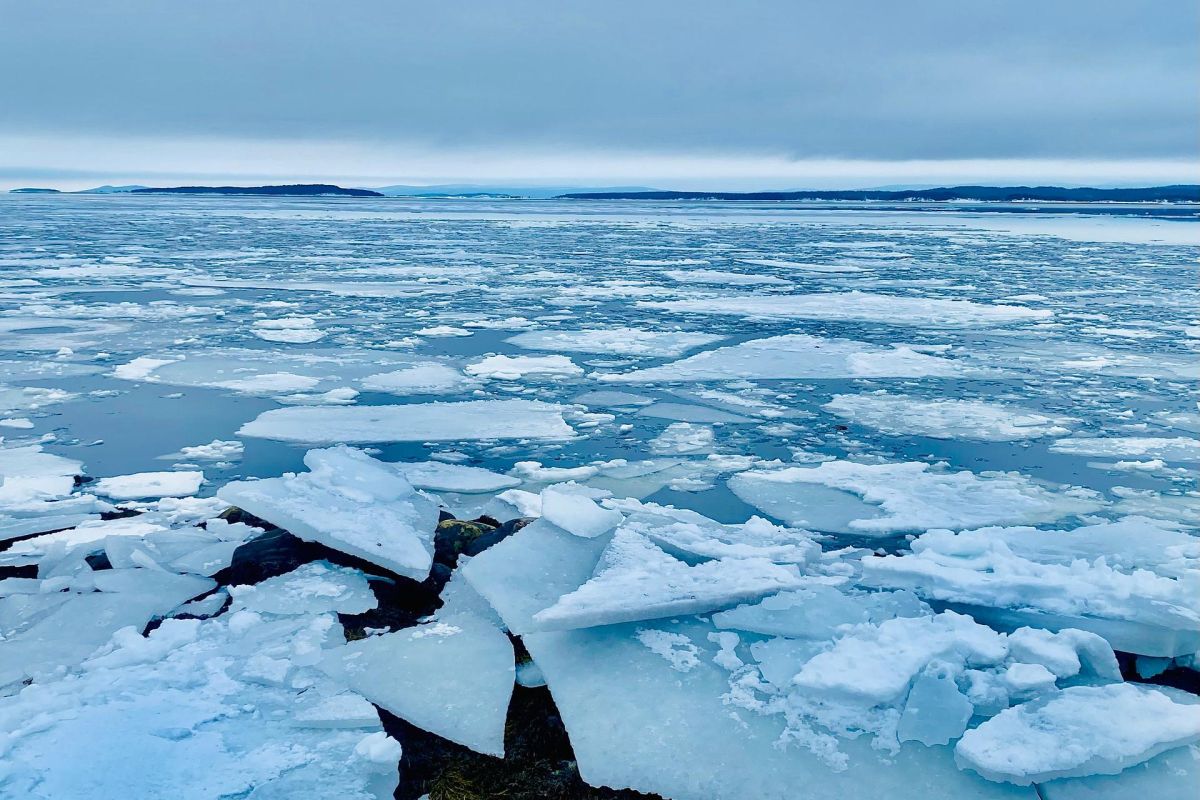 Снежный май на Кольском