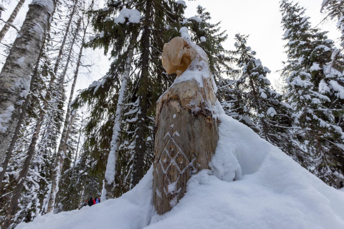 Красоты Пинежья