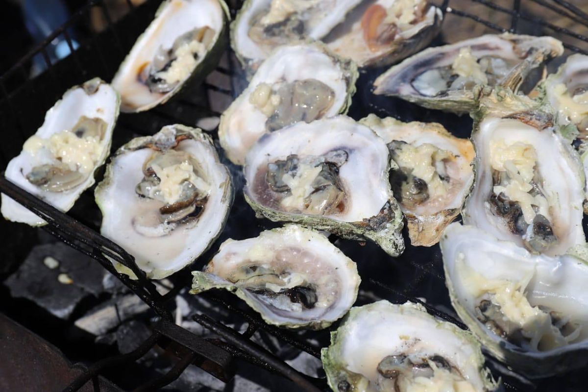 Озеро Буссе. Ловля устриц (Сахалин)