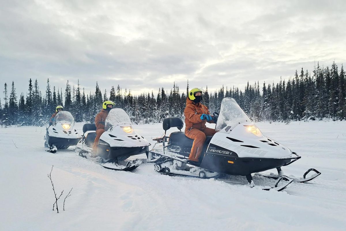 Один день на севере