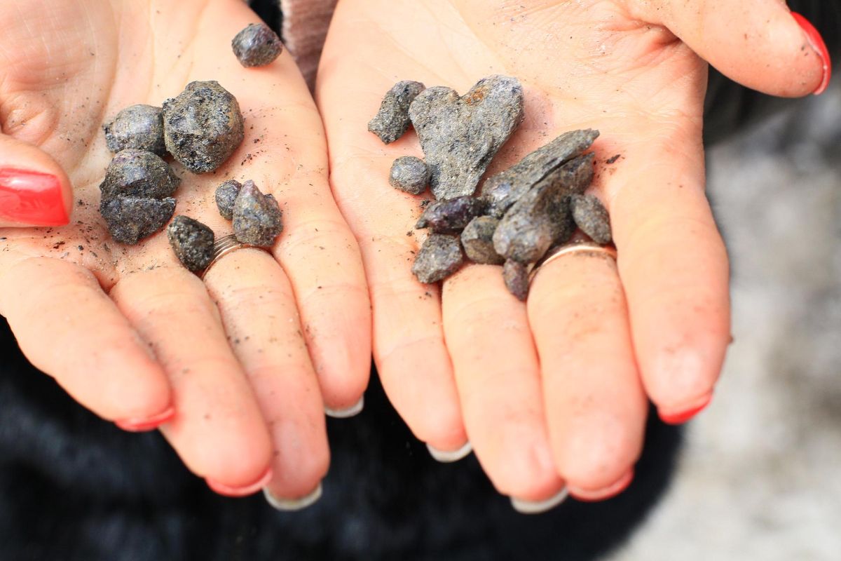 Онежская феерия 2026: Новогодний Петрозаводск и Вотчина Деда Мороза