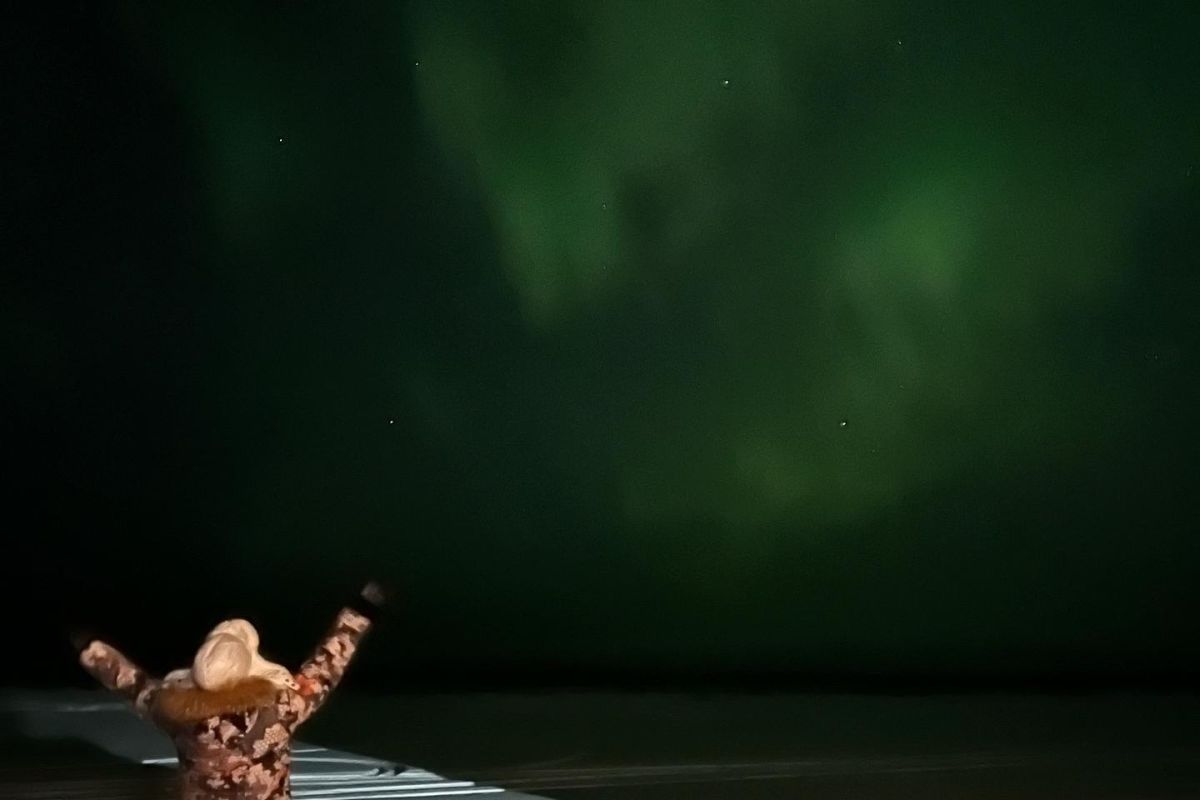 Заповедные берега Беломорья (снегоходный тур)