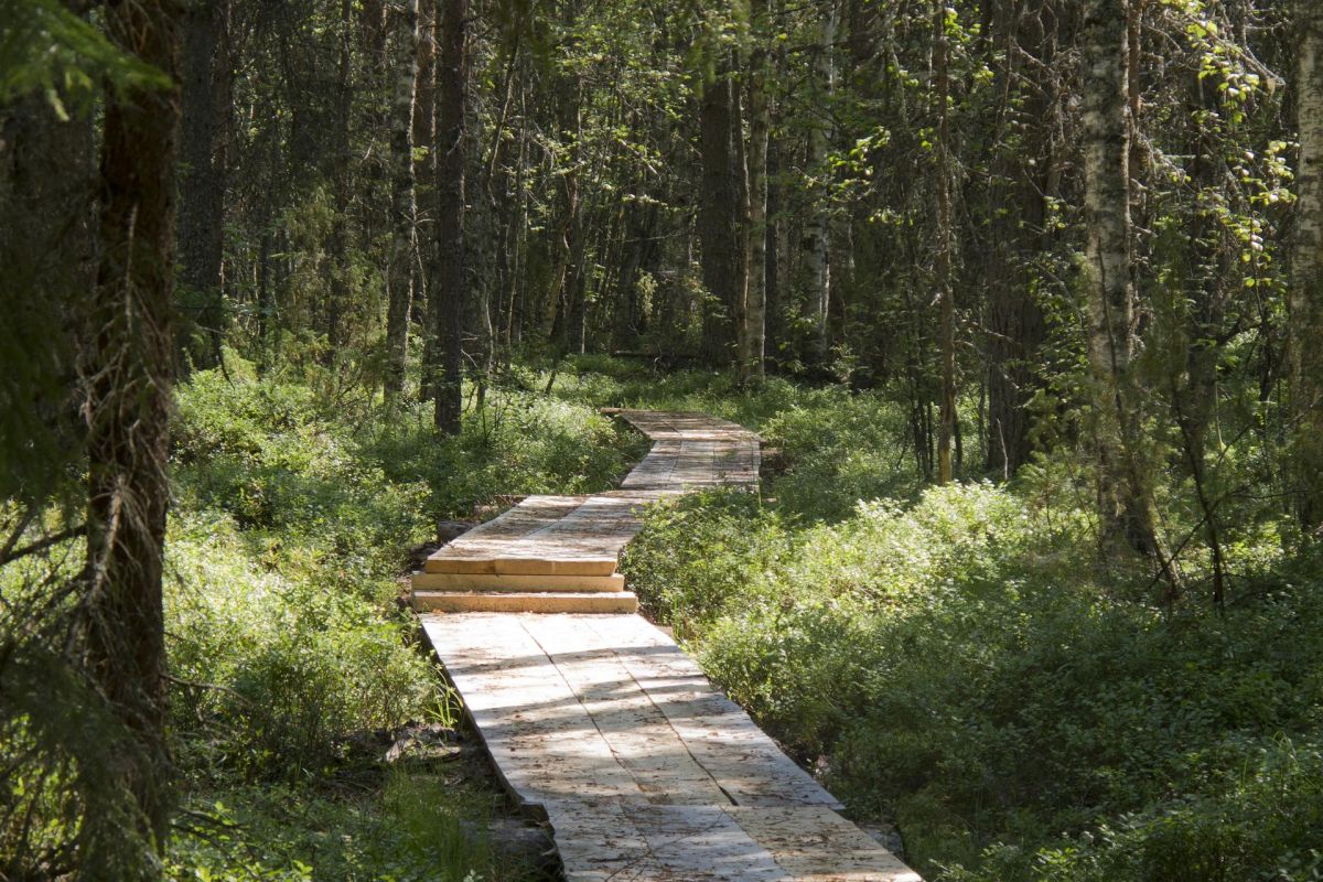 «Майский сет»
