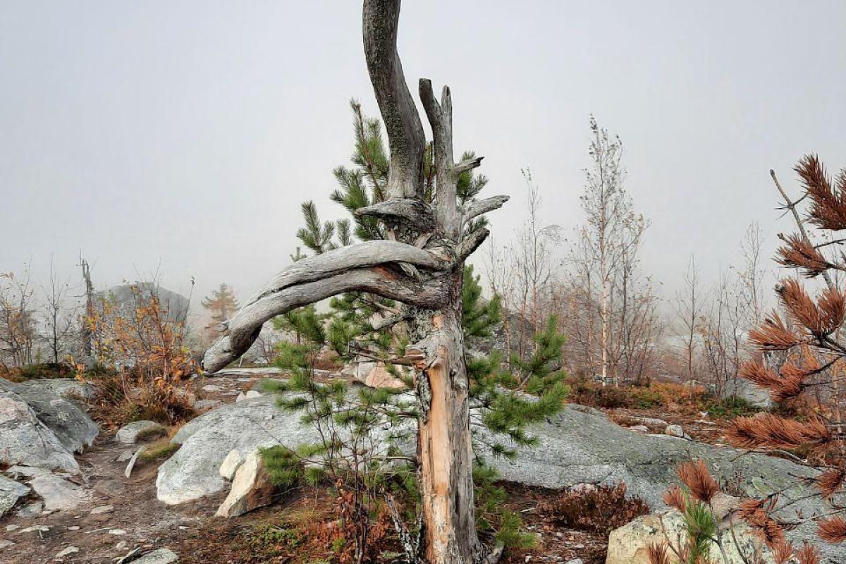 Экскурсия к мистической горе Воттоваара