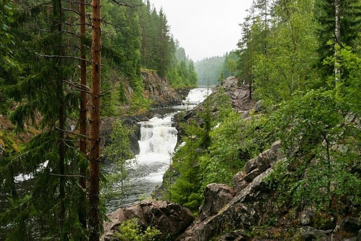 Экскурсия Марциальные воды – водопад Кивач (индивидуально)