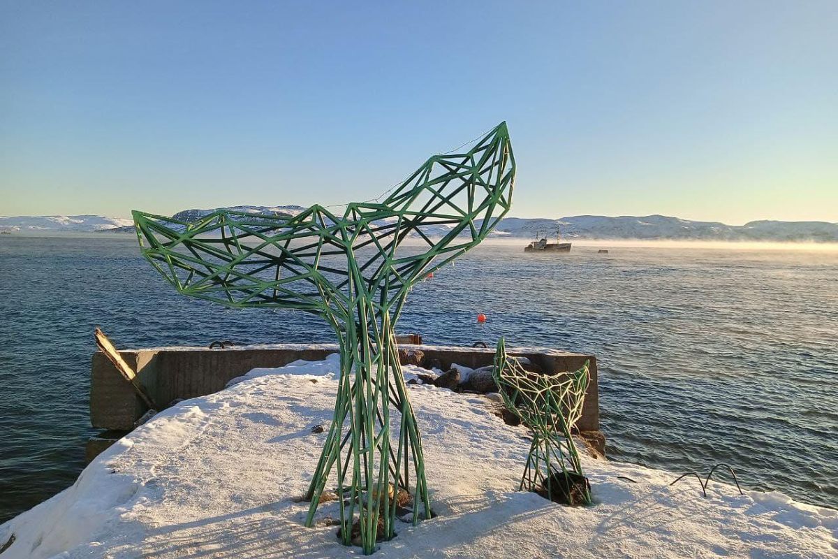 Териберка с морской прогулкой (зима)