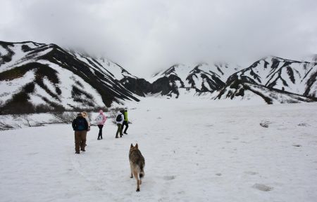 Треккинг на Вилючинский водопад (Камчатка, экскурсия)