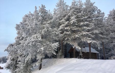 Тур выходного дня "ПРЕДНОВОГОДНИЕ ЧУДЕСА В КЕНОЗЕРЬЕ"
