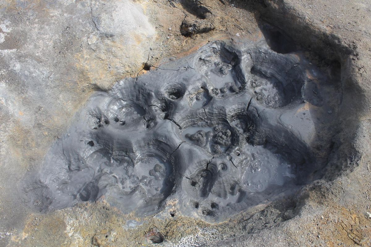 Дачные источники (Камчатка, экскурсия на вездеходе)