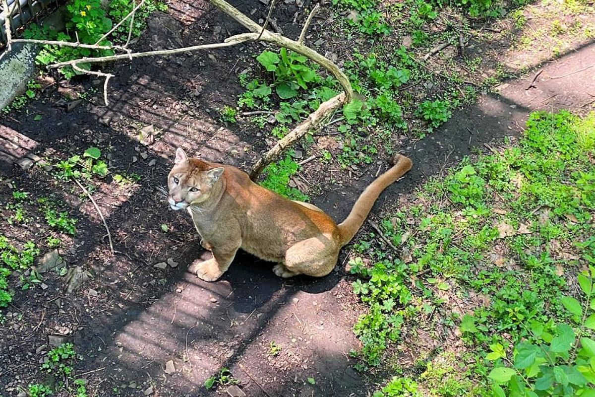 Тур «МорскаЯ» (Приморье)