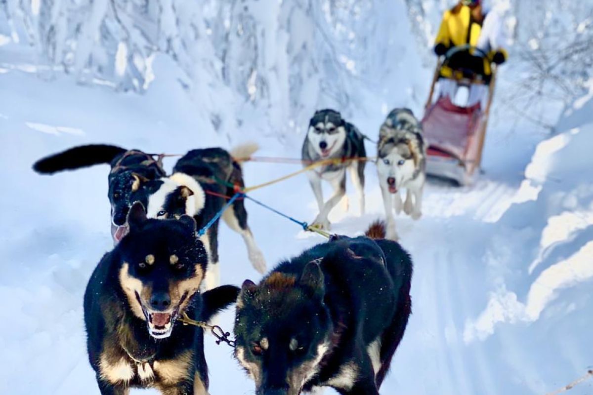 Сердце Камчатской зимы: самые популярные зимние маршруты