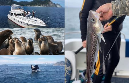 Морская прогулка по бухтам с выходом в океан