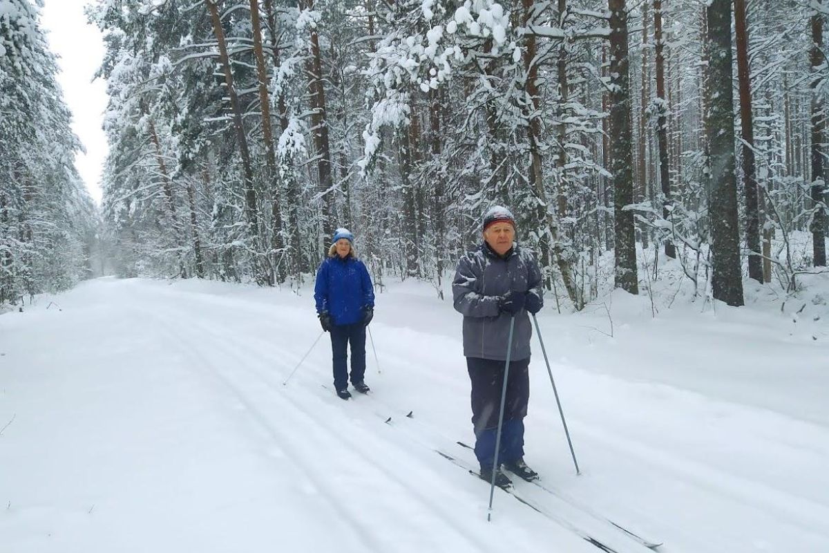 Лыжный тур по Карелии (Спасская Губа, 4 дня)