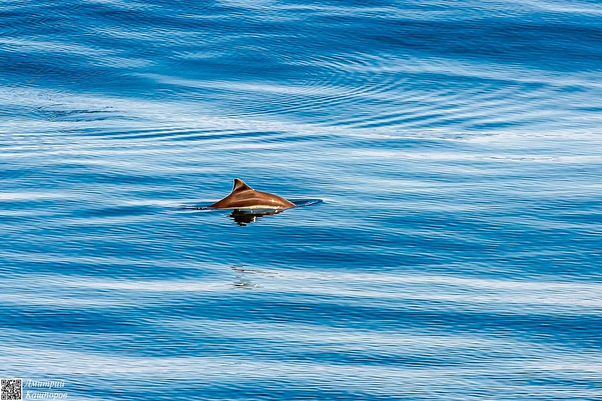 Кунашир и Малая Курильская гряда. Путешествие на другую планету