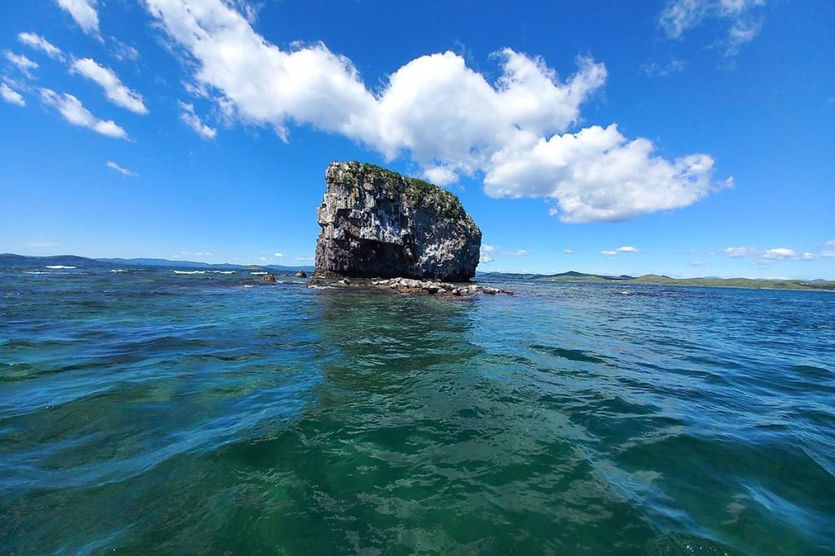 Дикая природа Приморья