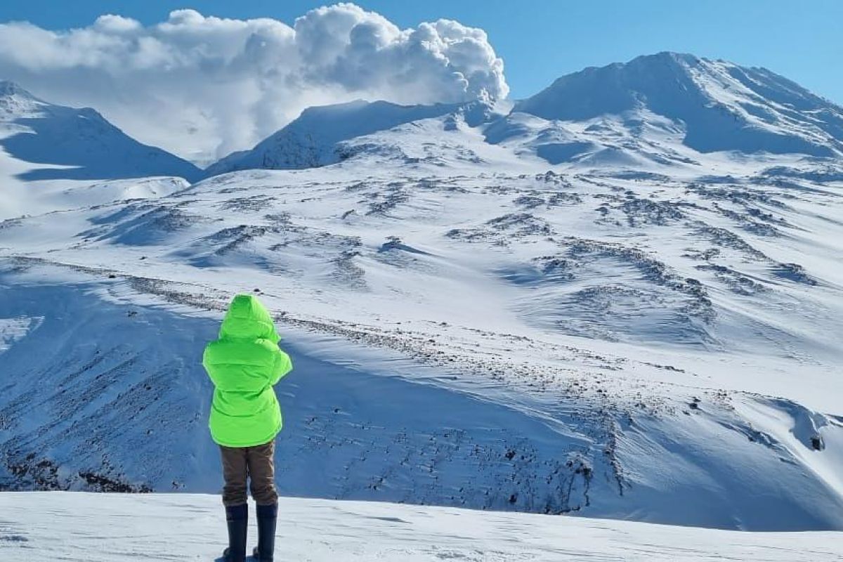 Предновогодняя Камчатка 2025