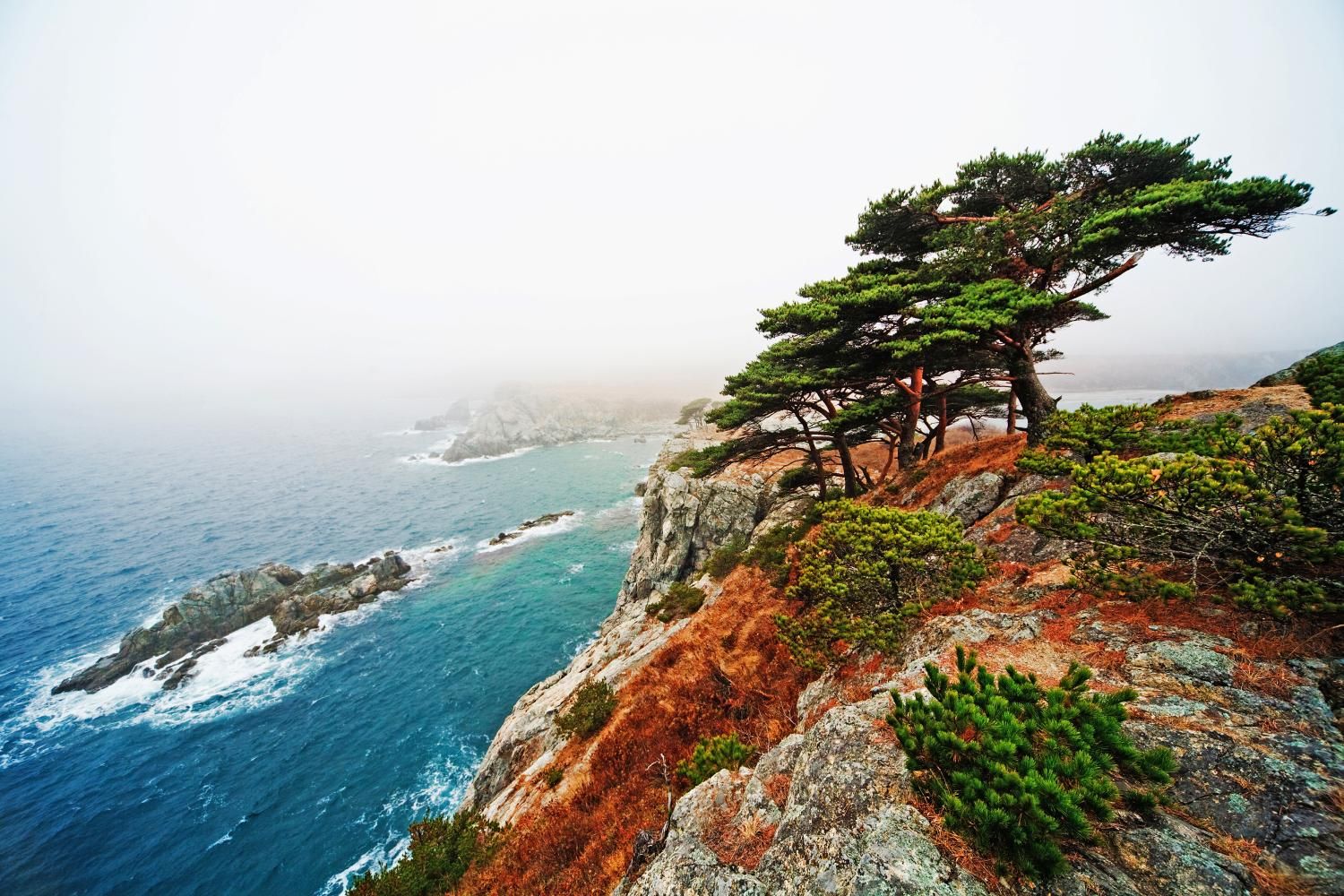 Край моря, сопок и леопардов