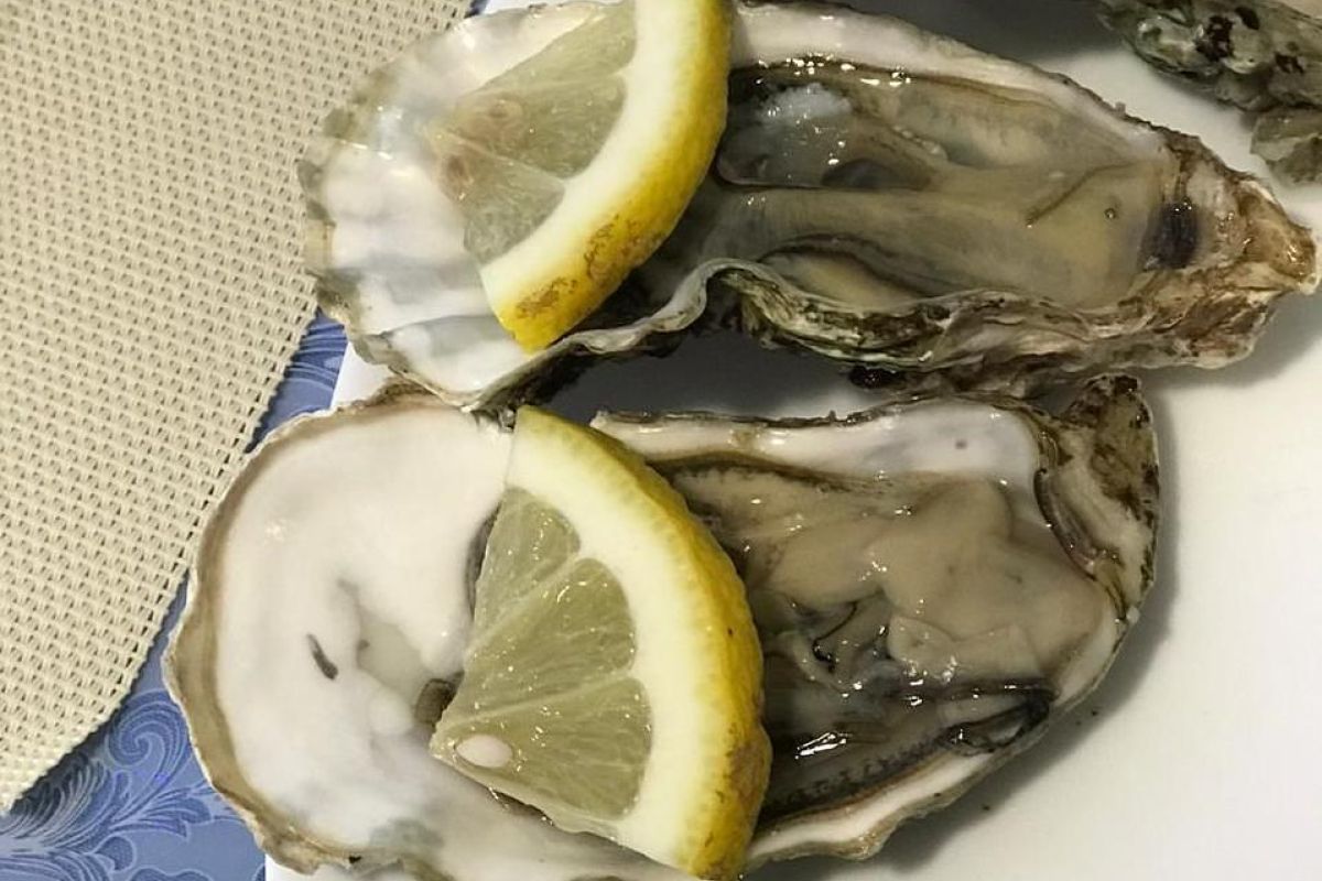 Мореферма с обедом + Приморский океанариум (о.Русский)