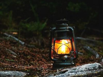 Квест-экскурсия "Дремучий лес"