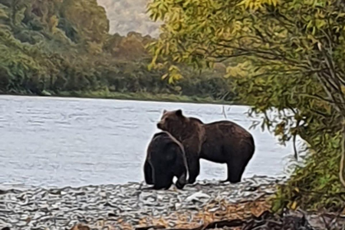 Река Быстрая (Малкинская), сплав 1 день