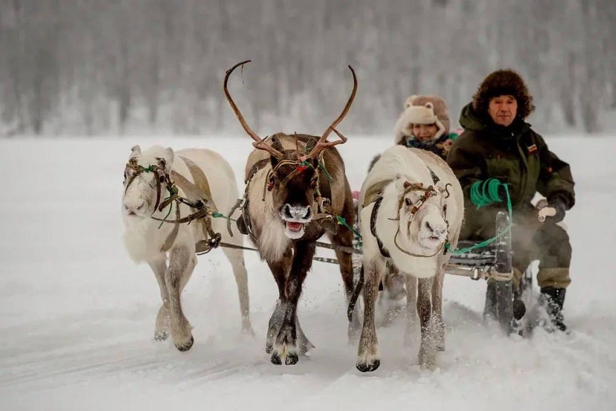 Саамские мотивы