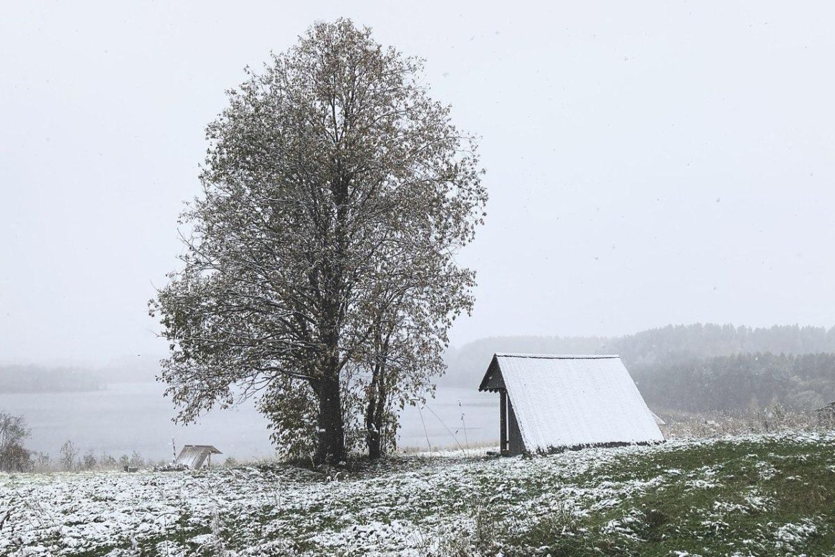 Банный тур в Кенозерье "Северная баня"