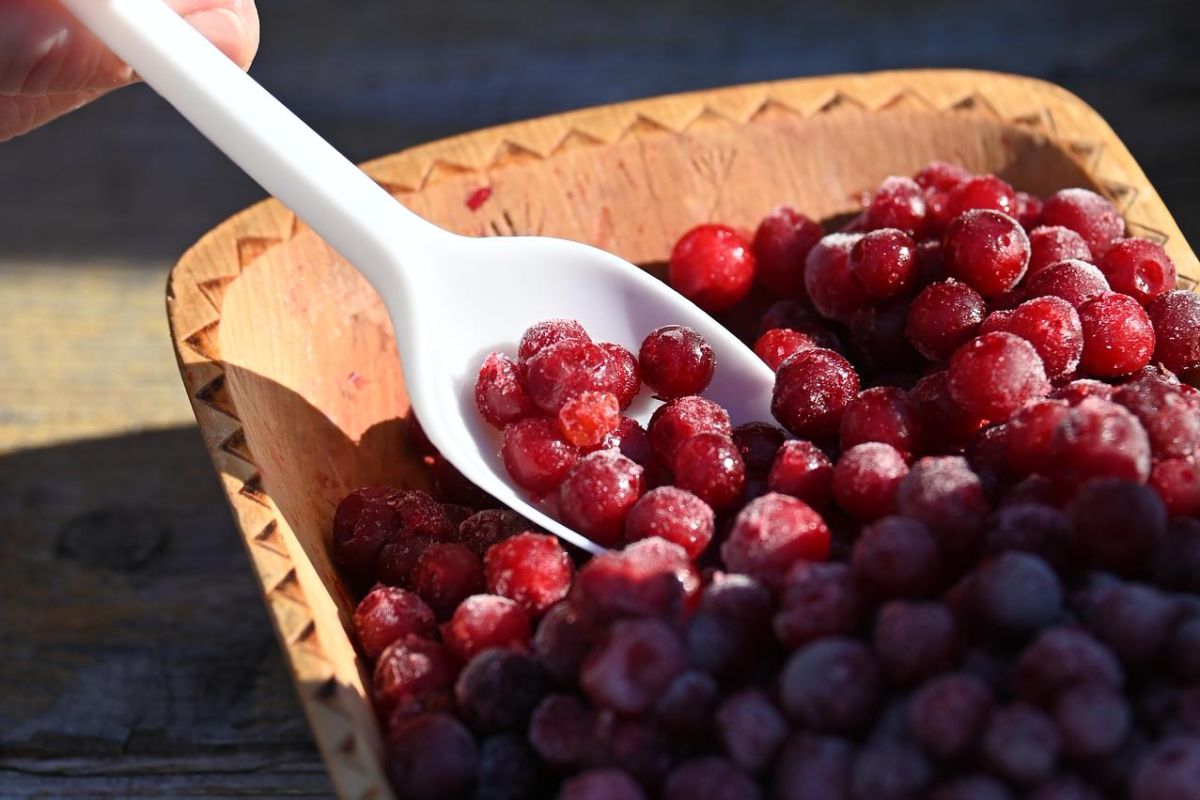 День оленевода