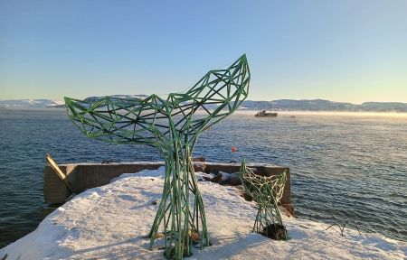 Аврора. Море. Ты. (3 дня на Кольском)