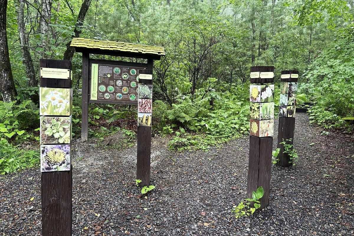 Земля леопарда + Японское море