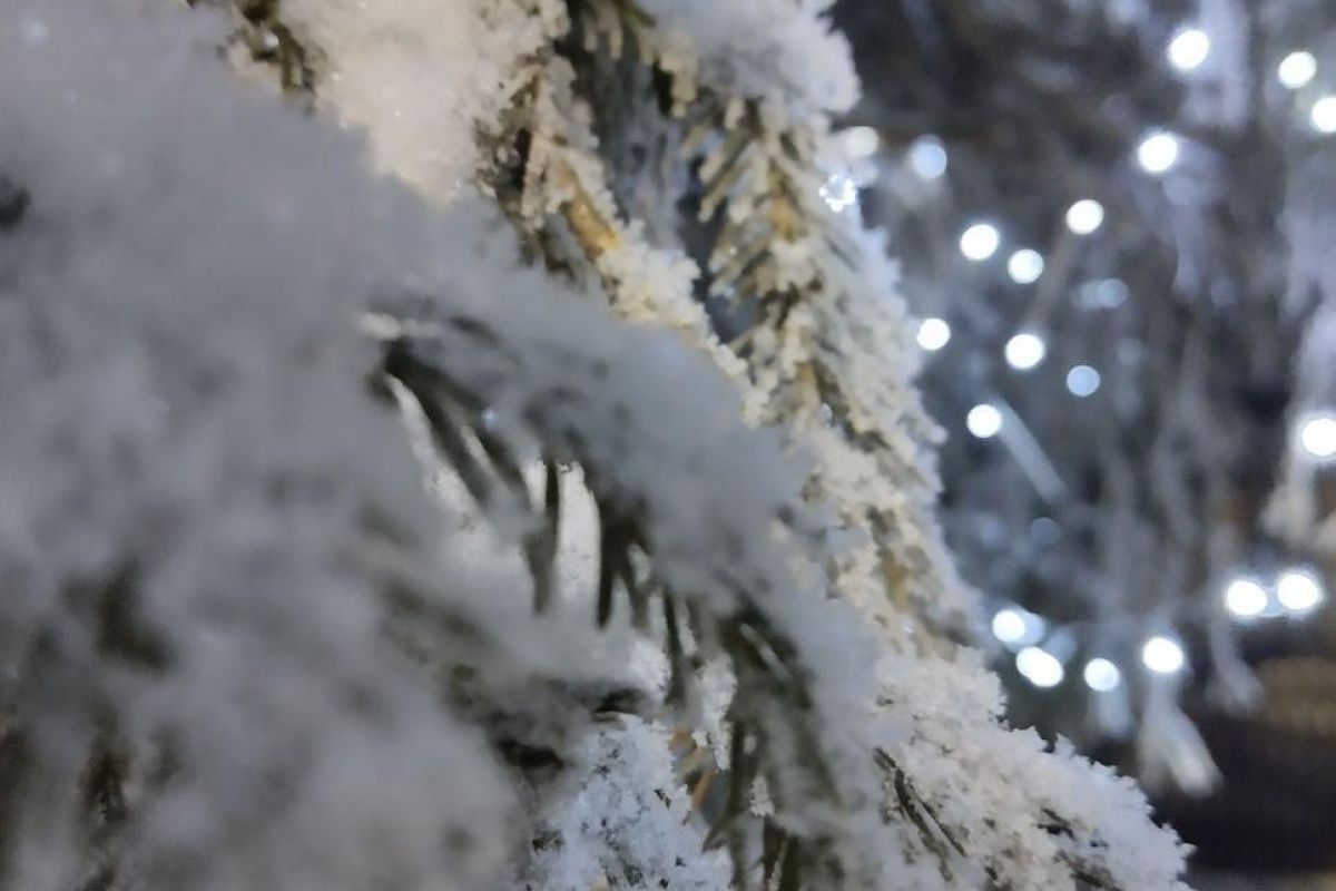 Рождественские дни в Каргополе