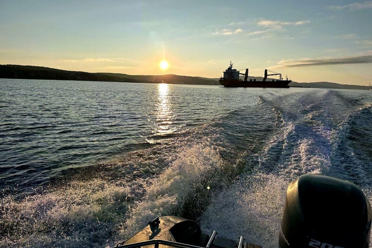 Китовая разведка 80%: Где море раскрывает секреты