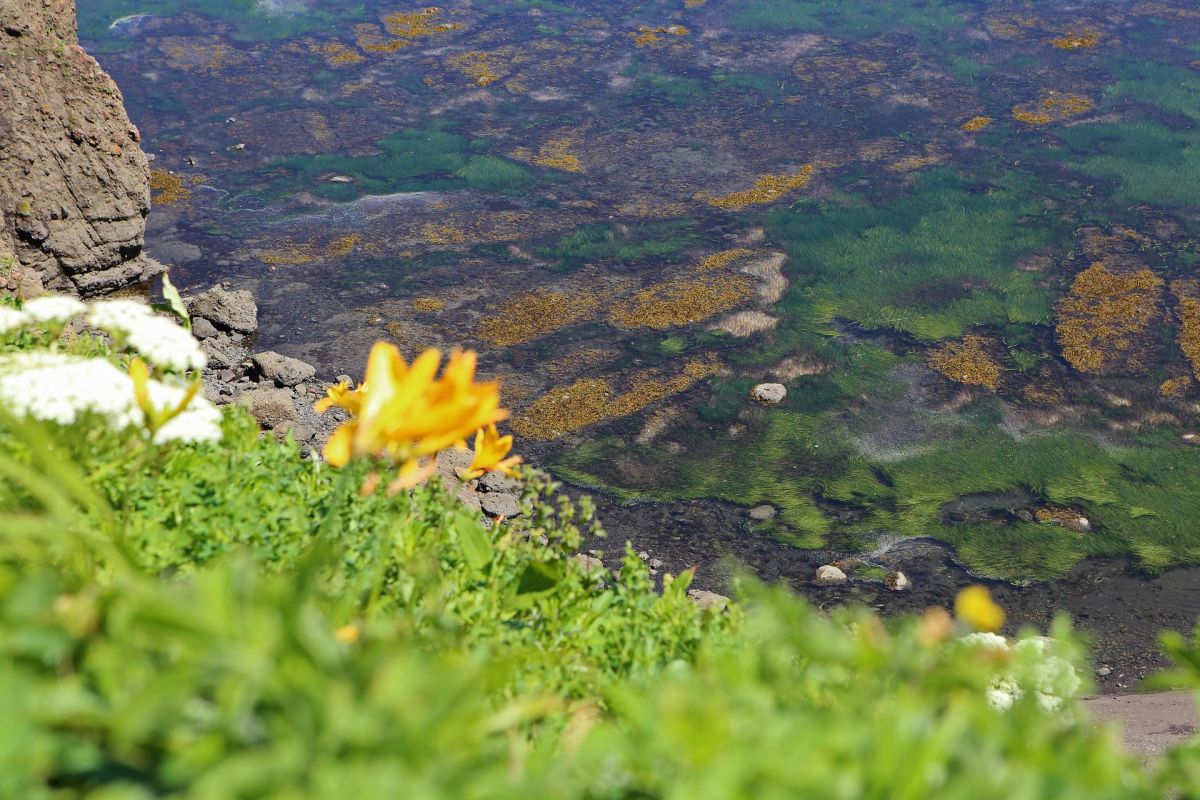 Сахалин и Кунашир