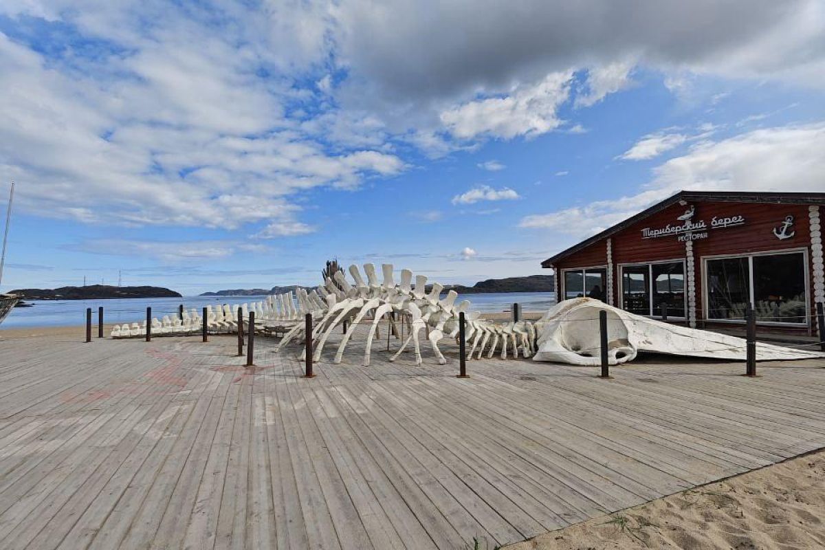 Красоты севера – летний Кольский