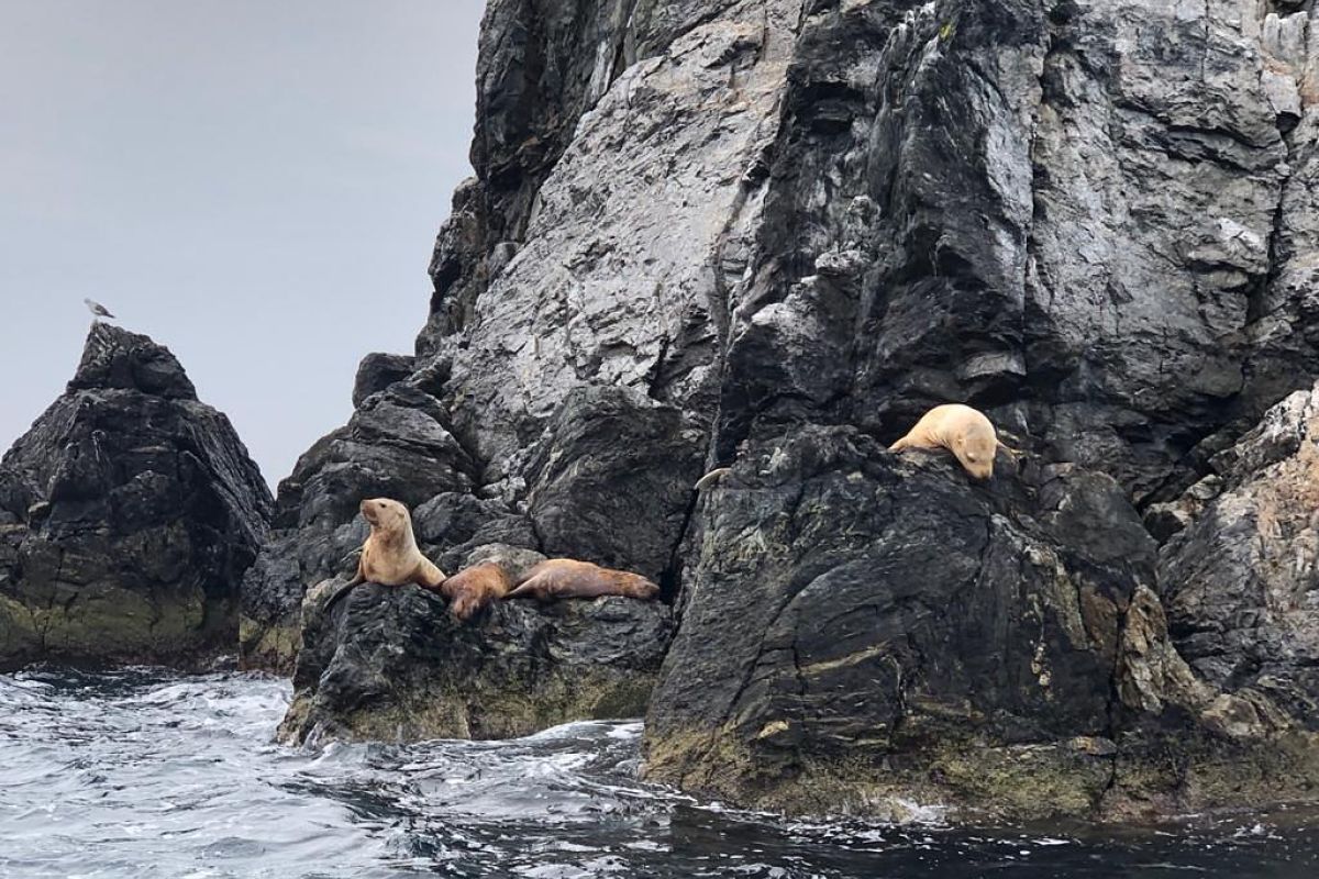 Симфония островов и горизонтов