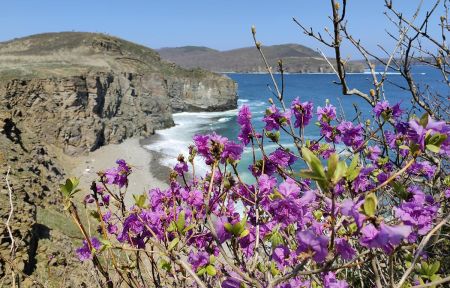 Дыхание весны в Приморье