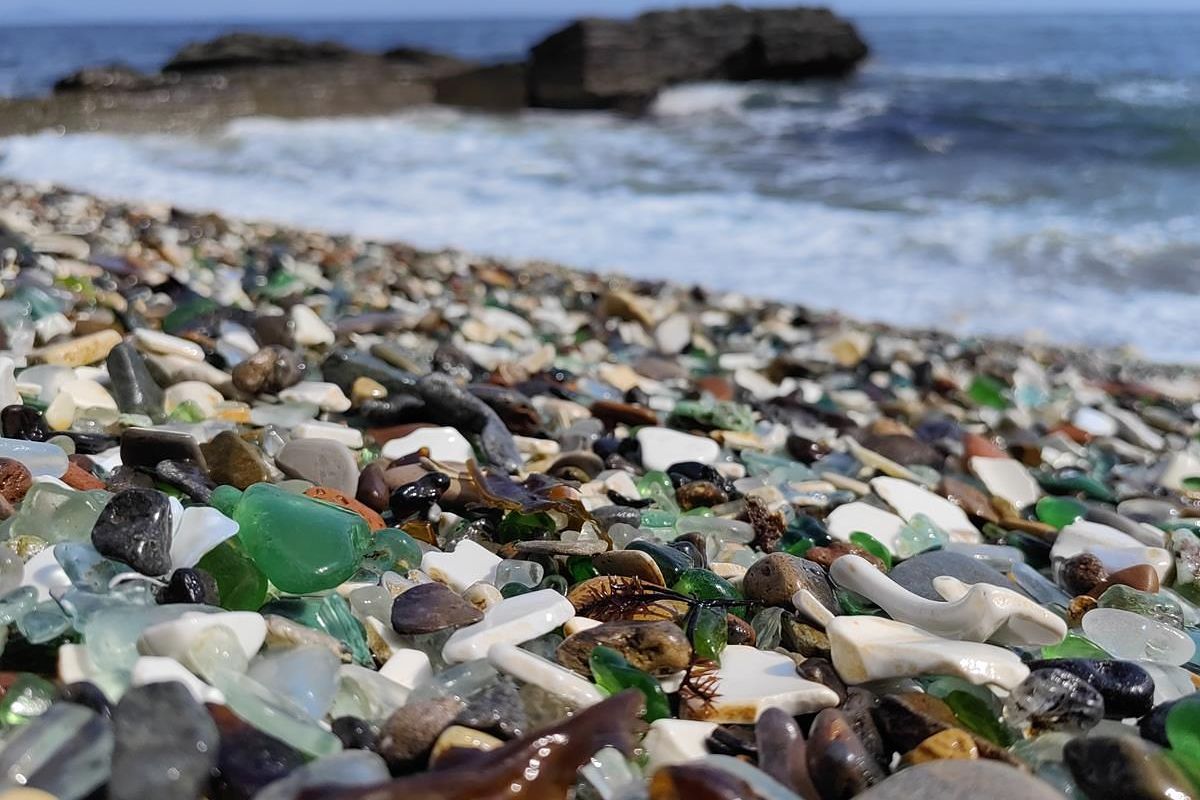 Лотосы и море – Приморье