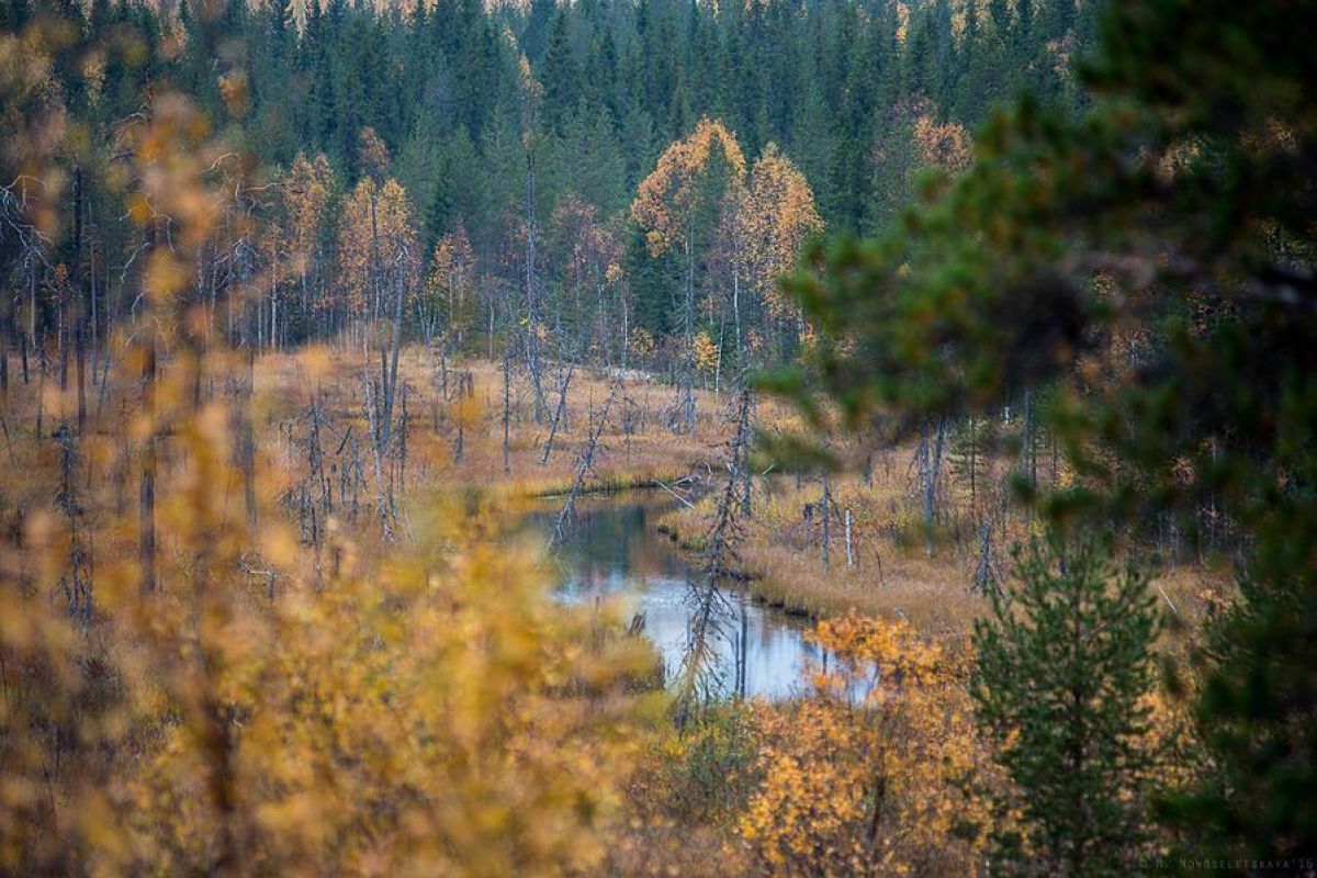 Джип-тур по Карелии. Загадочная гора Воттоваара