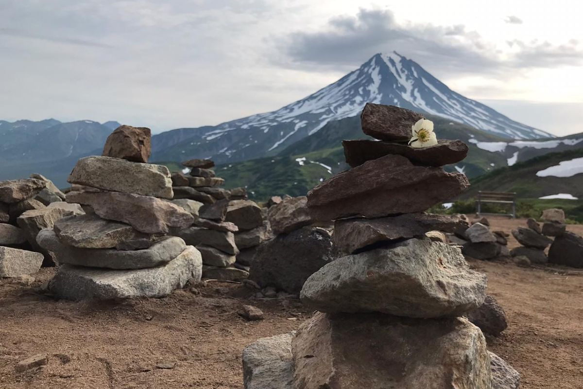 Камчатский натюрморт