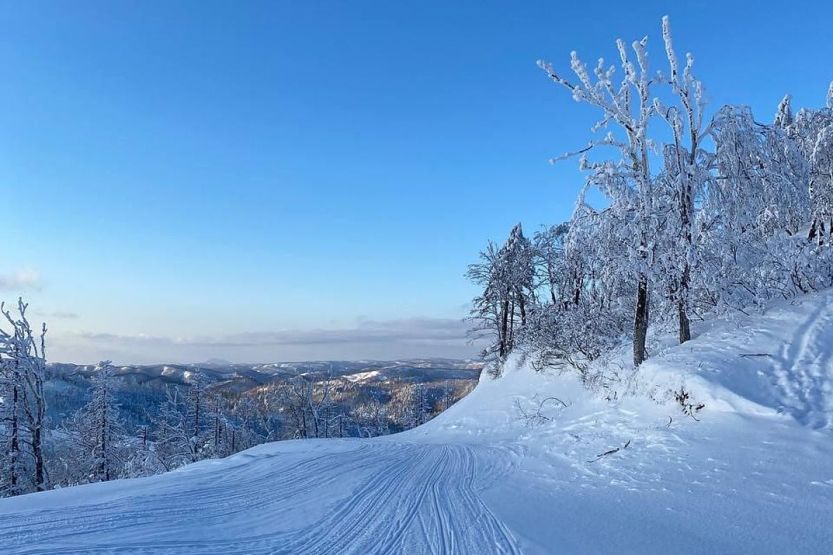 Прогулка на снегоходах «Мицульский хребет» (Сахалин)
