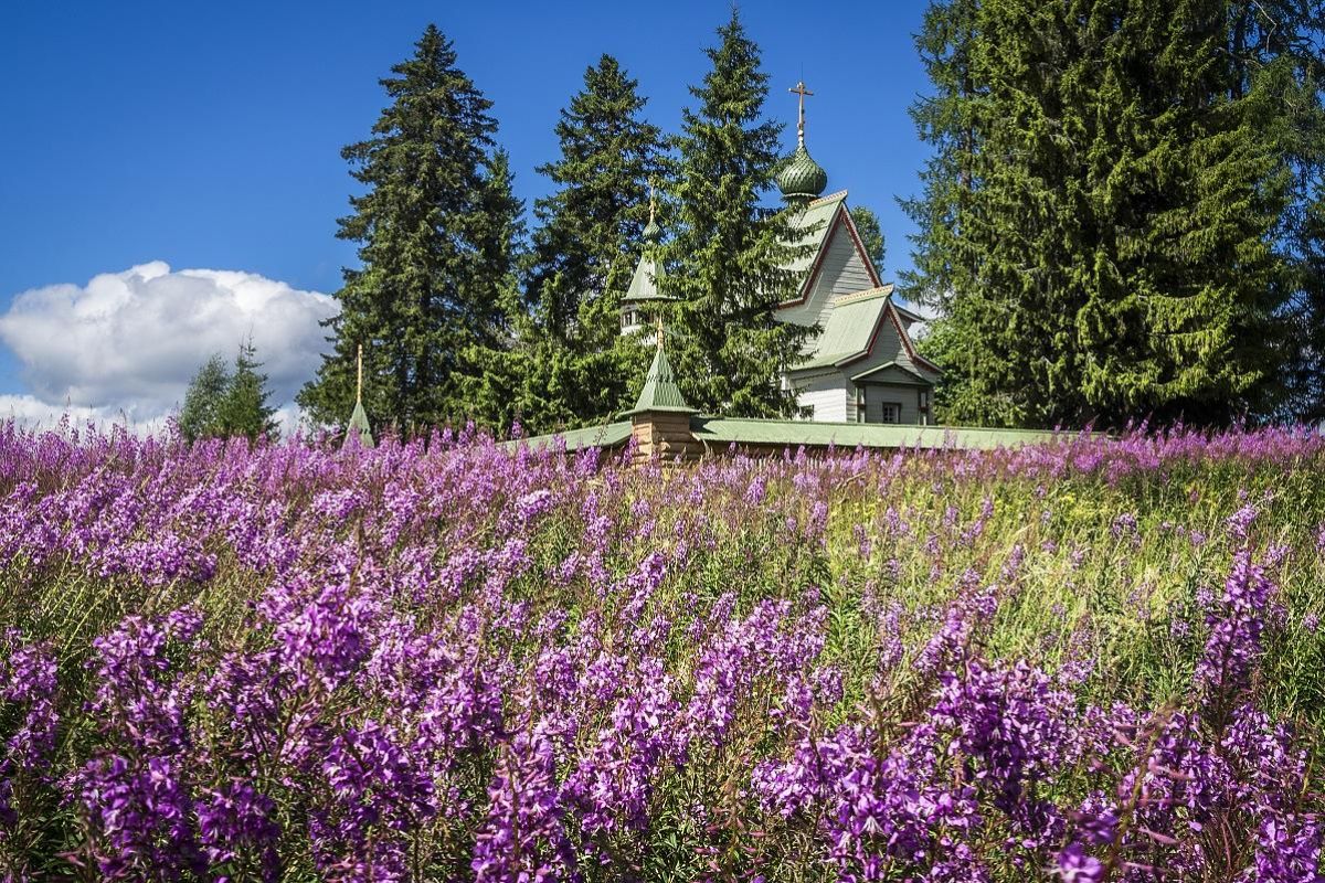 В край былинный, сказочный (Кенозерье)